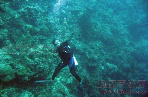 海绵宝宝寻珍宝